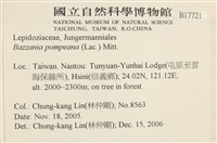 登錄號:B00017721藏品圖，第2張