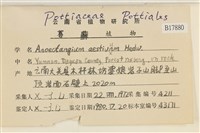 登錄號:B00017780藏品圖，第2張