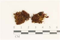 登錄號:B00017780藏品圖，第1張