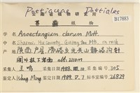 蛇苔藏品圖，第2張