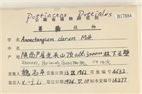 登錄號:B00017784藏品圖，第2張