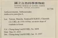 登錄號:B00017788藏品圖，第2張