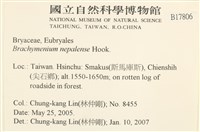 那霸短月蘚藏品圖，第2張