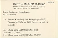 登錄號:B00017819藏品圖，第2張