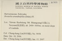 大熱澤蘚藏品圖，第2張