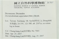 粗毛青毛蘚藏品圖，第2張