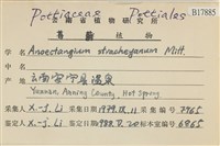 登錄號:B00017885藏品圖，第2張