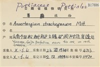 登錄號:B00017886藏品圖，第2張