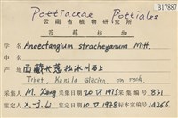 登錄號:B00017887藏品圖，第2張