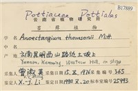 索氏叢本蘚藏品圖，第2張