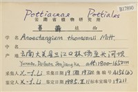 索氏叢本蘚藏品圖，第2張