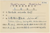 登錄號:B00017891藏品圖，第2張