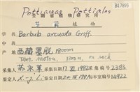 登錄號:B00017893藏品圖，第2張