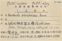 登錄號:B00017896藏品圖，第2張