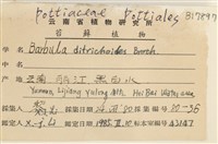 登錄號:B00017897藏品圖，第2張