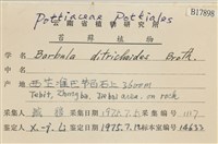 登錄號:B00017898藏品圖，第2張