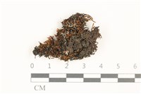 登錄號:B00017898藏品圖，第1張