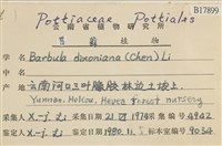 登錄號:B00017899藏品圖，第2張
