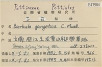 登錄號:B00017904藏品圖，第2張