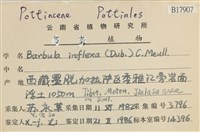 登錄號:B00017907藏品圖，第2張
