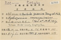 Accession Number:B00017910 Collection Image, Figure 2, Total 2 Figures