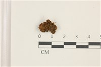 Accession Number:B00017910 Collection Image, Figure 1, Total 2 Figures