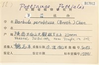 登錄號:B00017912藏品圖，第2張