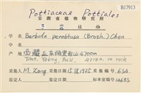 登錄號:B00017913藏品圖，第2張