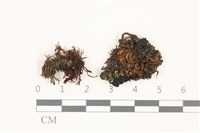 登錄號:B00017913藏品圖，第1張