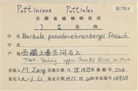 登錄號:B00017914藏品圖，第2張