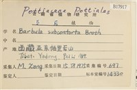 狹葉扭口蘚藏品圖，第2張