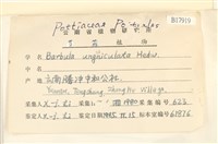 扭口蘚藏品圖，第2張