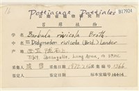 溪邊扭口蘚藏品圖，第2張