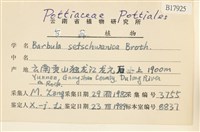 登錄號:B00017925藏品圖，第2張
