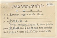 扭口蘚藏品圖，第2張