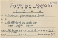 登錄號:B00017932藏品圖，第2張
