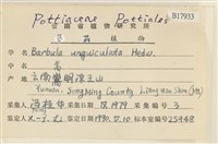 扭口蘚藏品圖，第2張