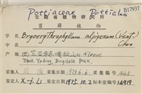 登錄號:B00017937藏品圖，第2張