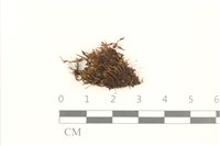 登錄號:B00017937藏品圖，第1張