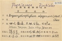 登錄號:B00017938藏品圖，第2張