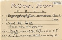 登錄號:B00017940藏品圖，第2張