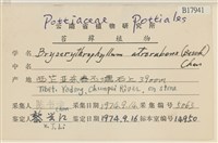 登錄號:B00017941藏品圖，第2張