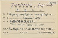 登錄號:B00017942藏品圖，第2張