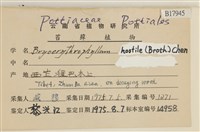 登錄號:B00017945藏品圖，第2張