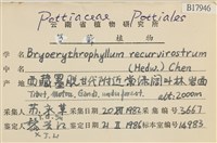 登錄號:B00017946藏品圖，第2張