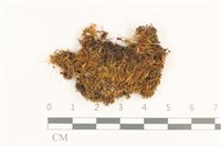 登錄號:B00017946藏品圖，第1張