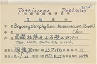 登錄號:B00017947藏品圖，第2張