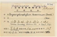 登錄號:B00017948藏品圖，第2張