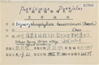 登錄號:B00017949藏品圖，第2張
