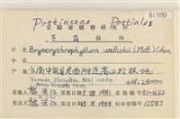 登錄號:B00017950藏品圖，第2張